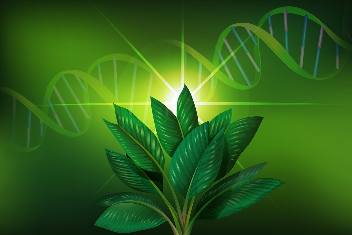 Biology – 0610
